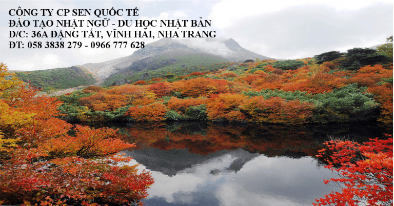 Kinh nghiệm xin visa khi du lịch Nhật Bản