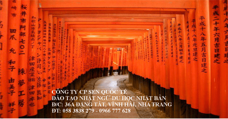 Những sự thật ít ai biết về xứ sở hoa anh đào