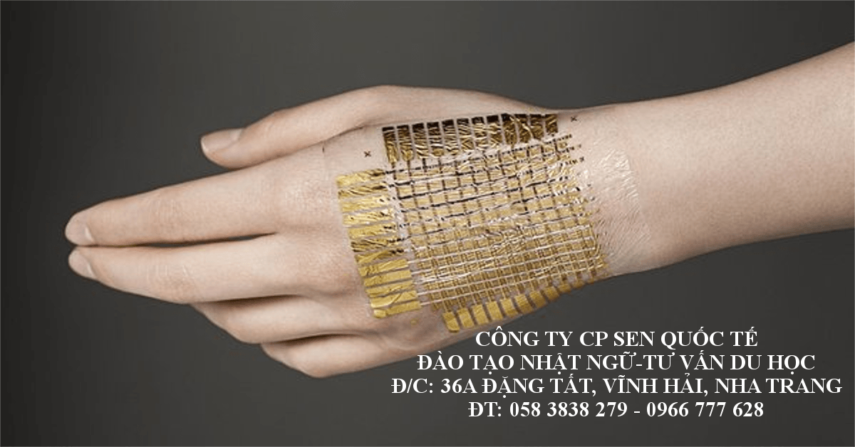 Read more about the article Phát triển thành công da nhân tạo đủ nang lông và tuyến bã nhờn