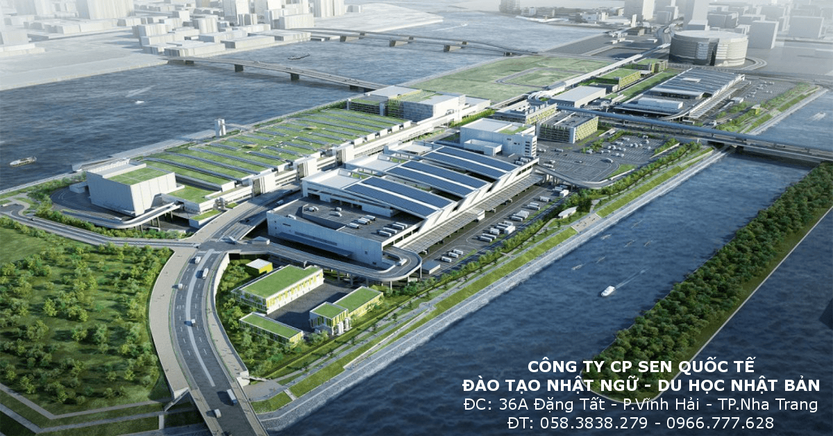 Read more about the article Chợ cá Tsukiji sẽ dời đến địa điểm mới vào tháng Mười một, 2016