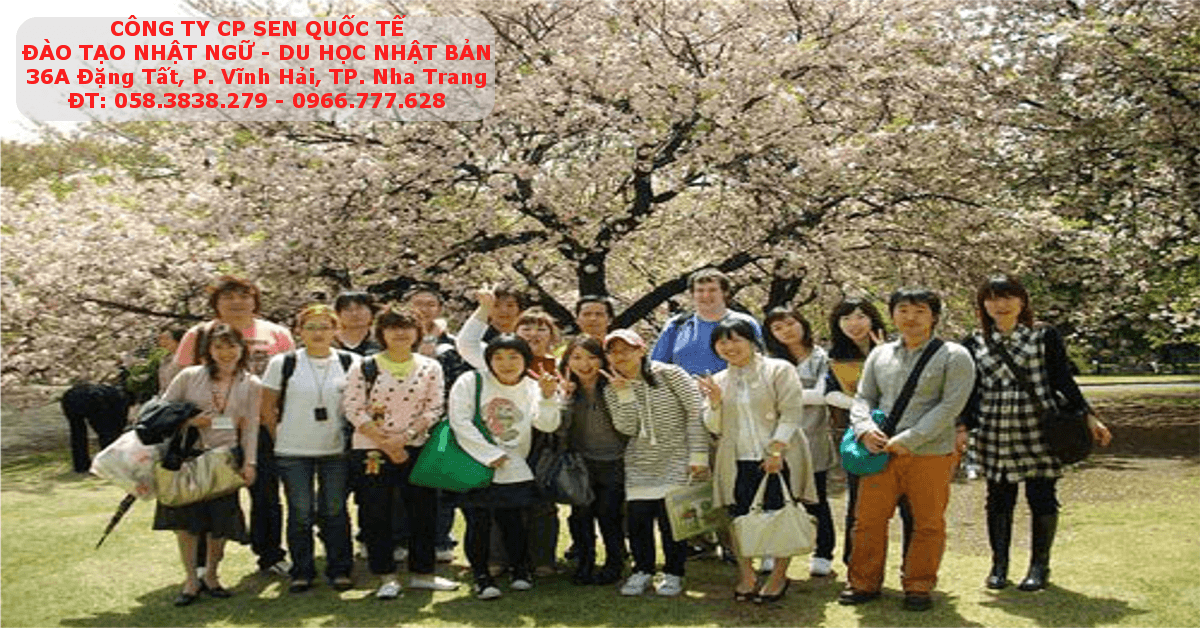 Read more about the article Chưa tốt nghiệp đại học có du học Nhật Bản được không