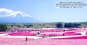 Read more about the article 16 điều bạn nên tránh khi du lịch Nhật Bản