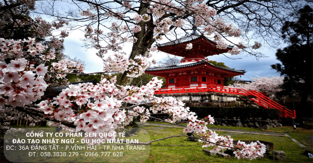 Read more about the article Những điều hấp dẫn lòng người nhất của xứ sở hoa anh đào