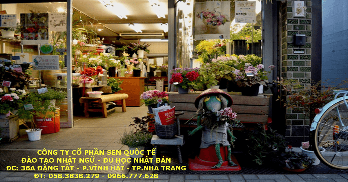 Read more about the article 10 điều thú vị chỉ có ở Kyoto- Nhật Bản