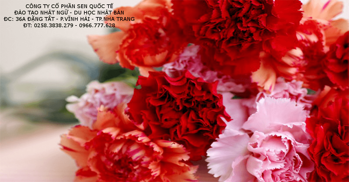 Read more about the article Ý nghĩa các loài hoa đặc biệt trong văn hóa Nhật Bản