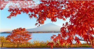 Read more about the article Nhật Bản tháng 10 có gì hấp dẫn