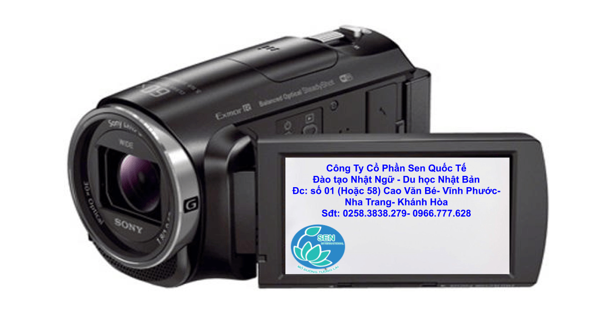 Read more about the article Hiểu thêm về sự mạnh mẽ của phụ nữ Nhật Bản qua 5 bộ phim nổi tiếng