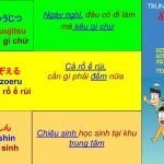 Bí quyết học từ vựng tiếng Nhật hiệu quả
